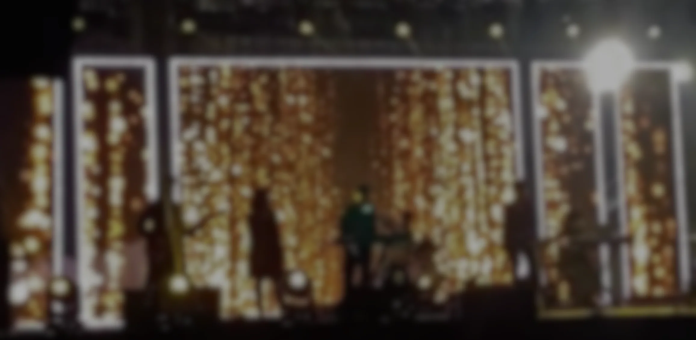 AROHA - IISER Pune Stage Performance